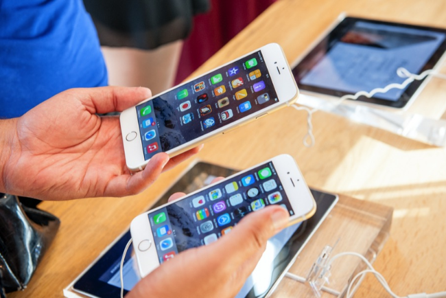 lt logoesto market 41